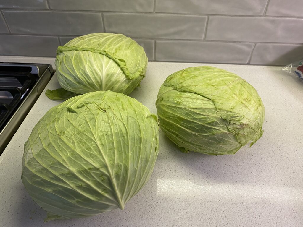 Three large fresh green cabbages from the farmers’ market ready for making homemade cabbage rolls