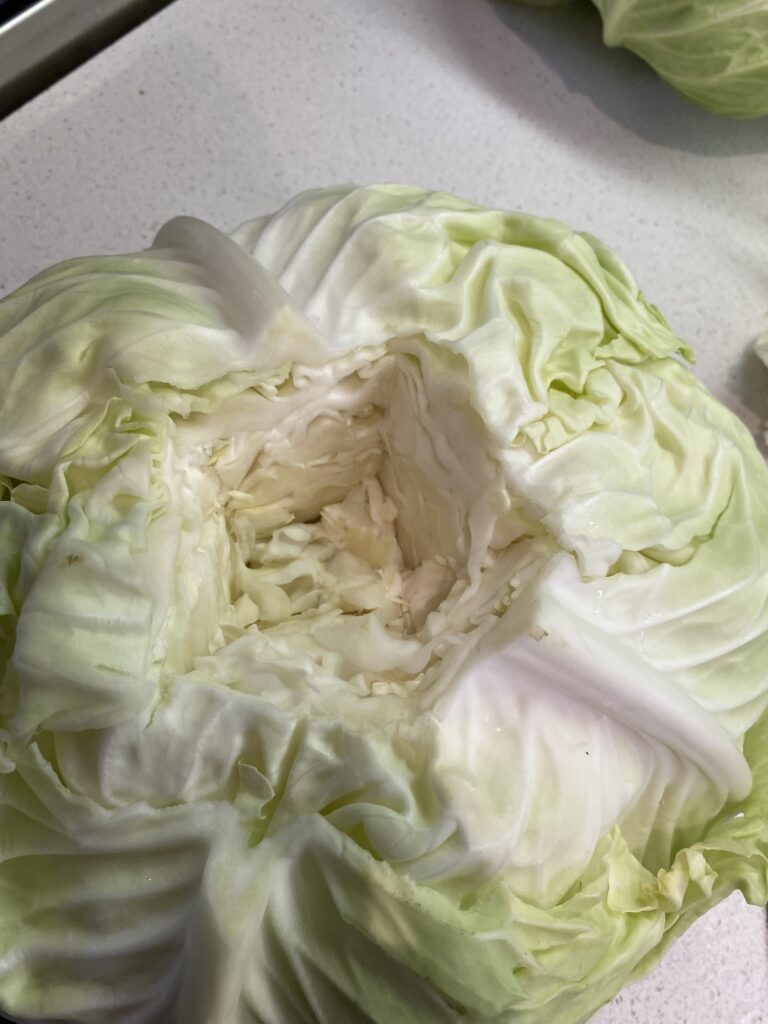 Cutting the core from a green cabbage before softening the leaves for cabbage rolls